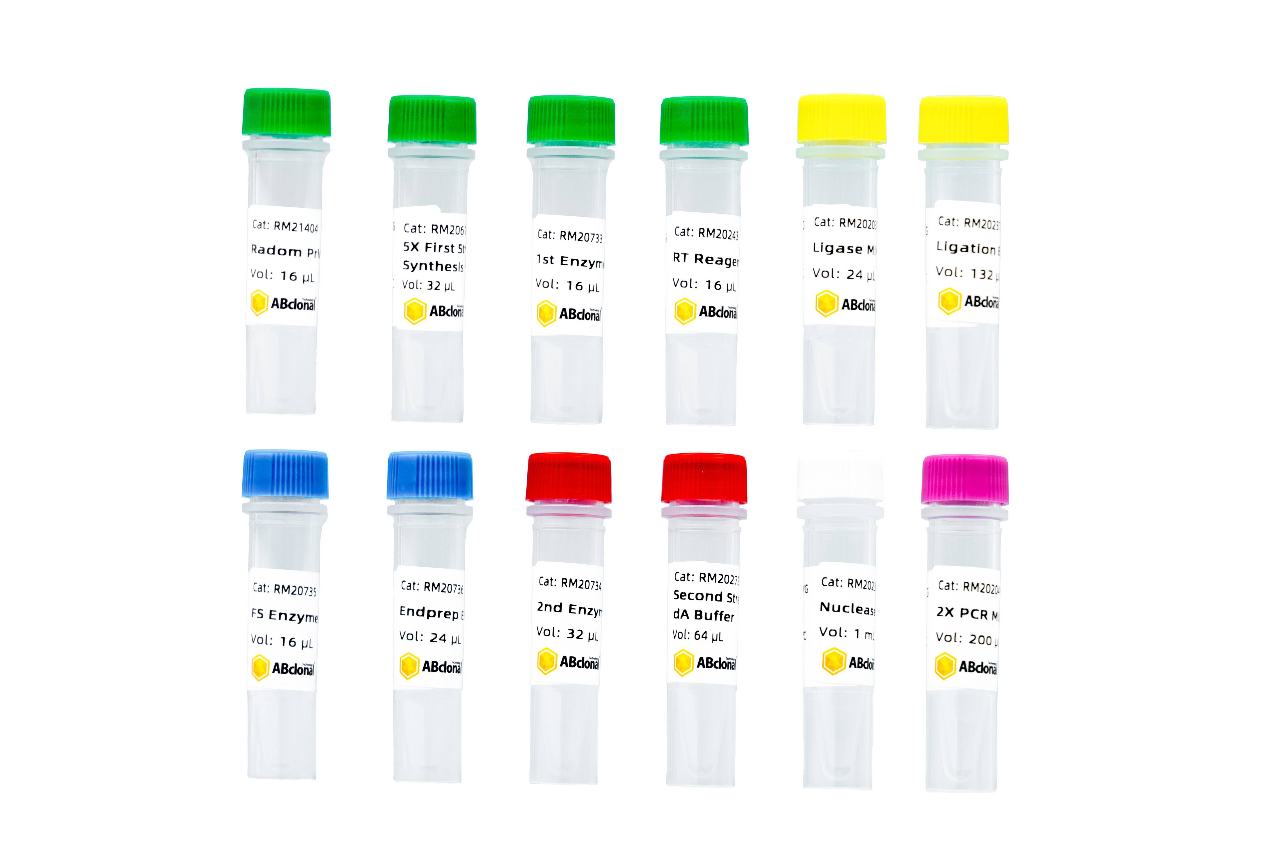 RNA-seq Lib Prep Kit （with FS）