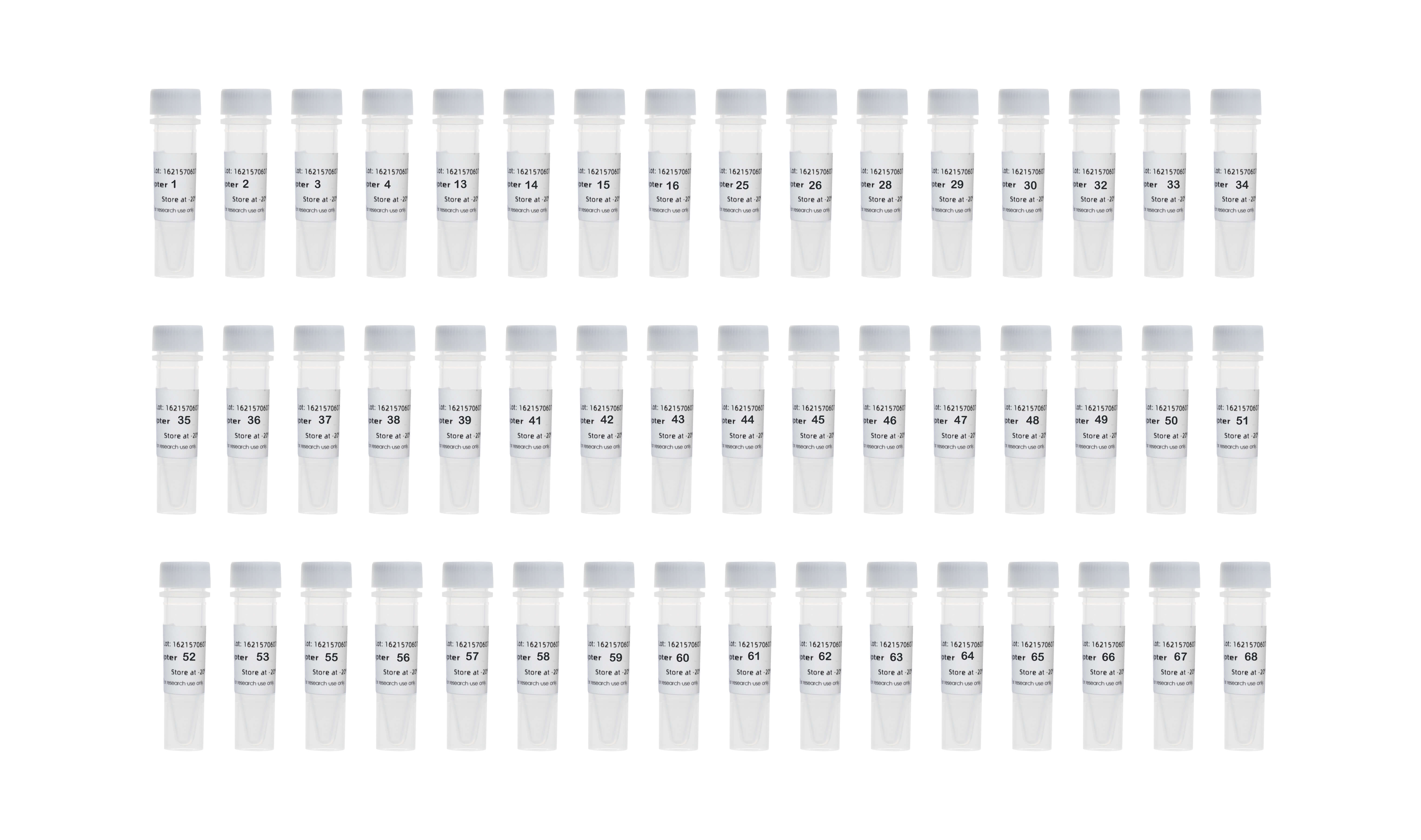 Full DNA Adapters Kit for MGI