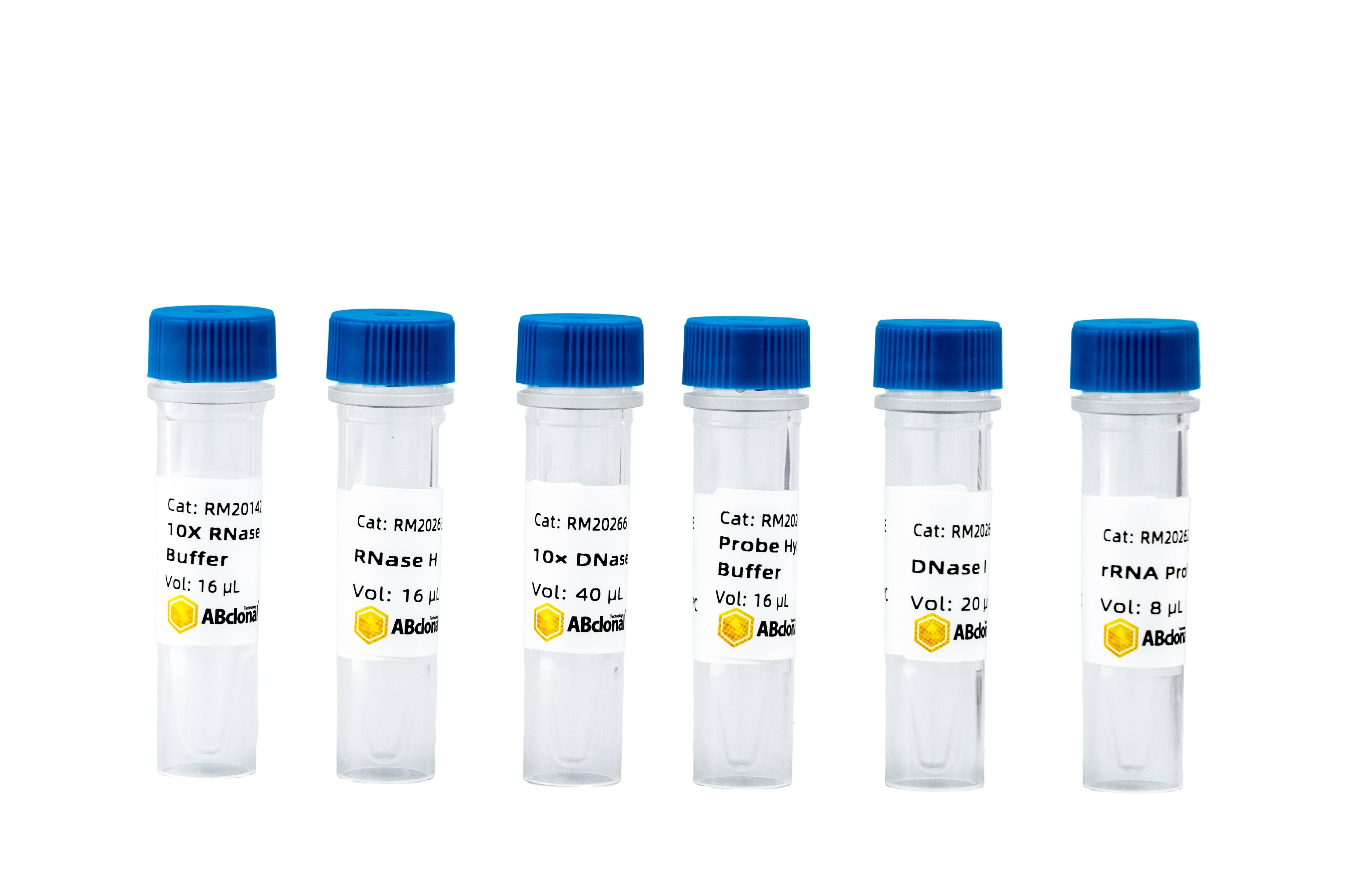 rRNA Depletion module (H/M/R)